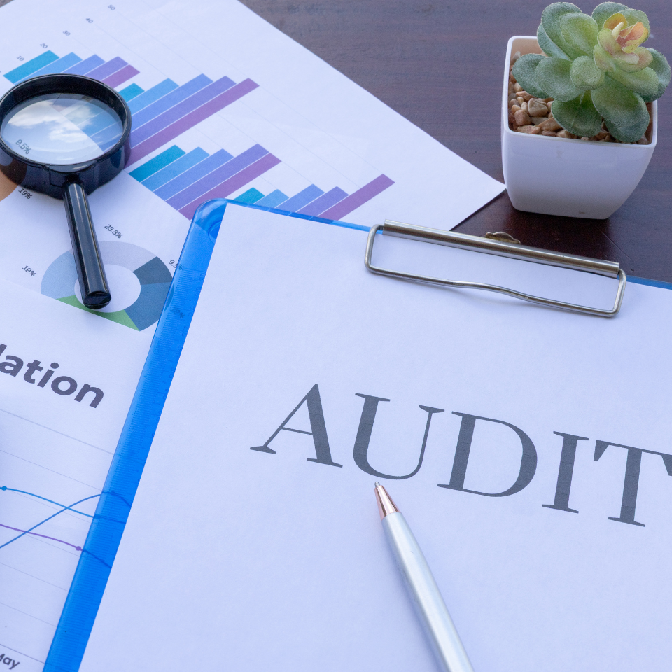 Audit & Strategy