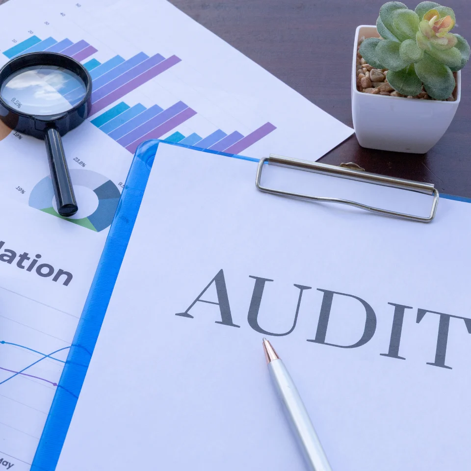 Audit & Strategy